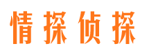 大渡口市调查公司